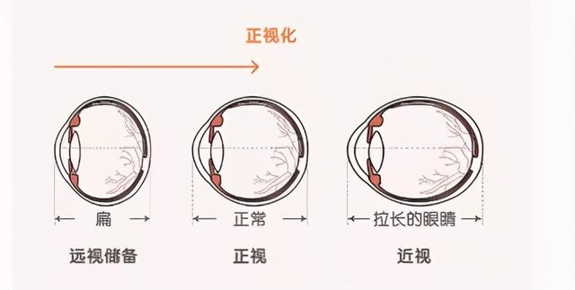 图片 5.png