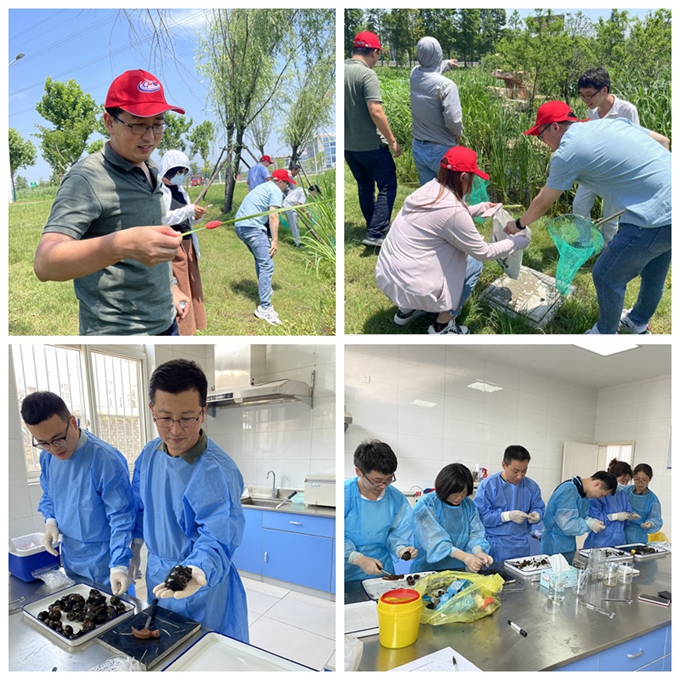 1689127204635826.jpg 光影魔术手拼图.jpg