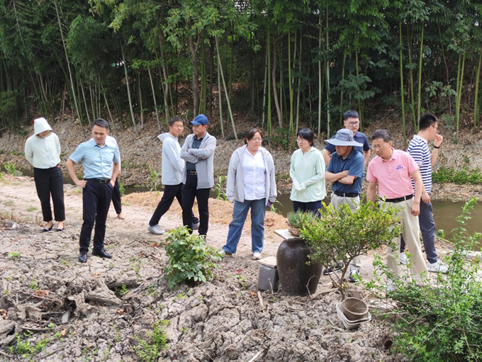 1719562556254675.png 图片4.png