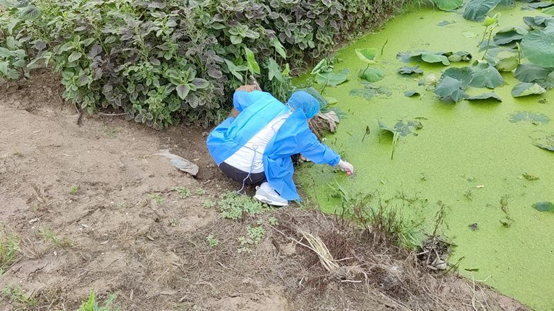 1720168939496303.png 图片1.png