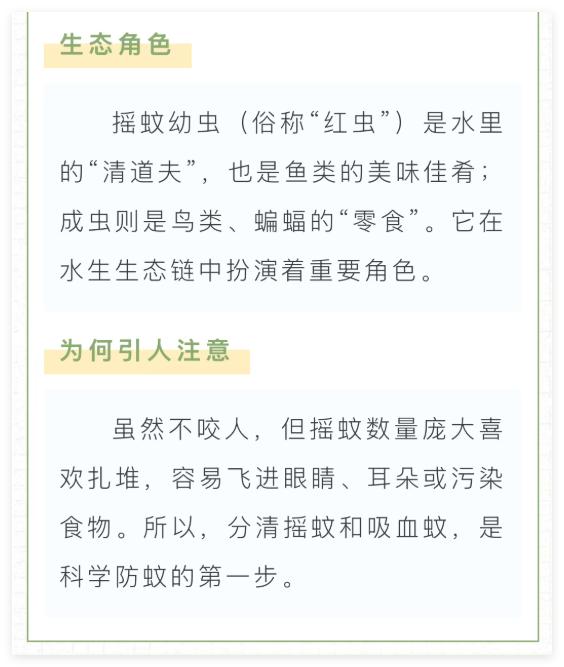 008.png